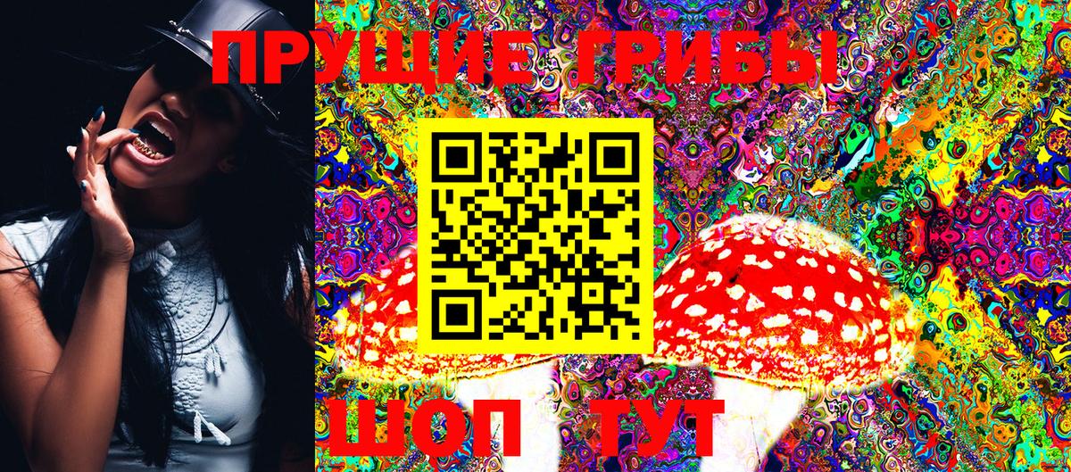 Псилоцибиновые грибы GOLDEN TEACHER  Псилоцибиновые грибы Psilocybe  Вход с VPN  Железноводск 