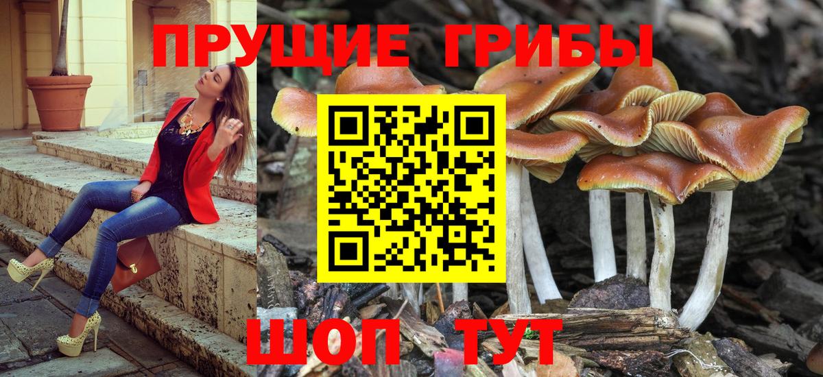 Псилоцибиновые грибы GOLDEN TEACHER Железноводск